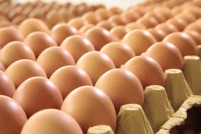 德州鸡蛋检测价格,鸡蛋检测机构,鸡蛋检测项目,鸡蛋常规检测